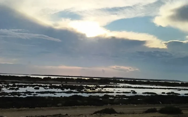 توقعات السبت 14 فبراير استمرار الرياح والأتربة بشمال البلاد